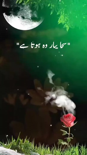 #foryoupage #❤️❤️ #love❤️🥀🥰😘🥀🥰 #viral #pagli_lyrics