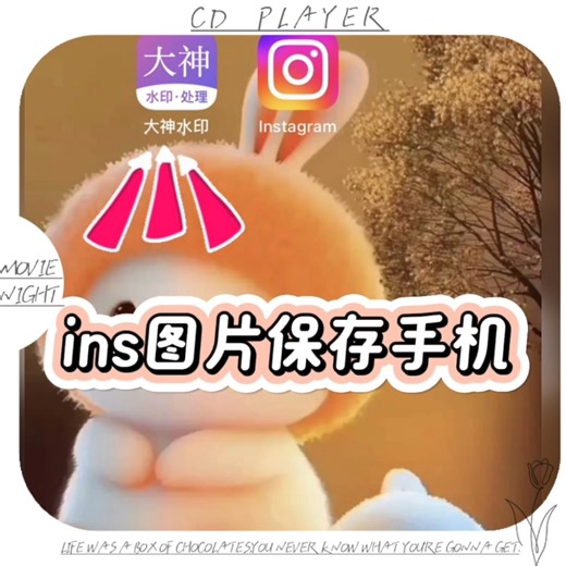 很想想象ins视频图片下载原来so 轻松| 保存ins图片用【大神水印】真的简单利落！复制笔记链接，随时随地下载ins视频和图片！