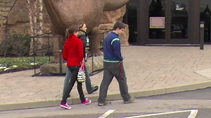 Creation Museum geologist given permission to research at Grand Canyon