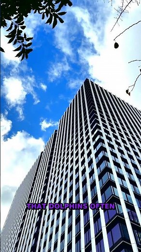 Dolphins Give Each Other Names | Unusual Wildlife Behavior