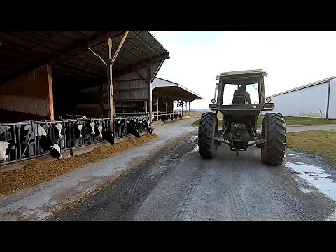 Day in the Life of 10th Generation Dairyman