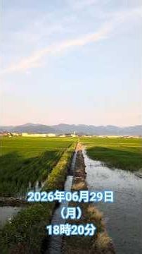 山形県寒河江市散歩にて撮影2026年06月29日（月）18時20分