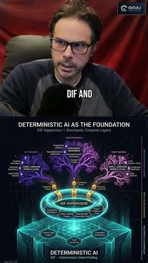 Future AI Systems: Determinism + Stochasticity