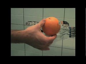 Seven Species of Robot