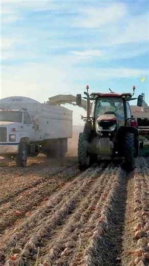 onion digger fully automatic #modernfarming #tractorlover #newsong#awezchaitrend