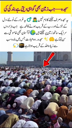 Power of Prostration #Sajda#Prayer#Faith#IslamicMoments