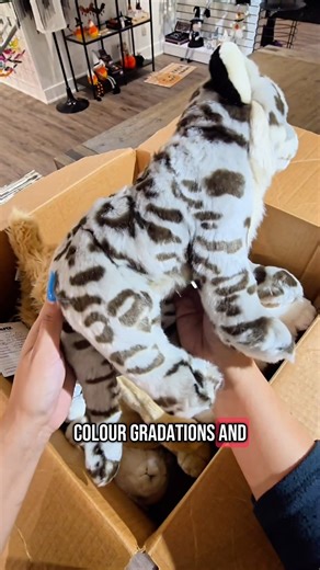 4.6K views · 46 reactions | Webkinz HIstory: The Making of Signature Pets, Part 3/4 冀 Airbrushing is part of what makes these pets so unique and beautiful! Part 4 will be out on Monday, May 12. #Webkinz #Art #Design #plush #20YearsOfWebkinz | Webkinz | Facebook
