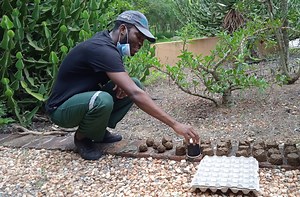 Indigenous Knowledge Systems: Preserving and Profiting From What's Ours