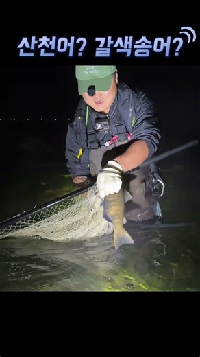 Catching trout on a stick? Catching brown trout!