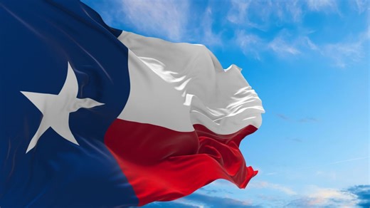Texasisms: A Glossary of Texan Slang, Words & Sayings
