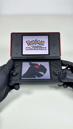 Anbernic RG DS : console avec 10 000 jeux DS inclus