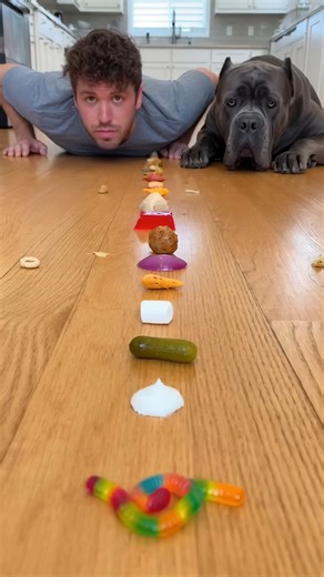 127K views · 2.1K reactions | I really thought I had a chance...  We set up a 20-item eating challenge to see who was faster. Me or my dog. SPOILER: It wasn't even close. He even ate the raw egg yolk! 濫 Who were you rooting for? Let us know in the comments! #funnydog #dogchallenge #manvsdog #eatingchallenge #foodrace #funny #dog #doglover #pet #challenge #reels #shorts | Zoomepets | Facebook