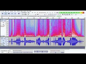 New Minecraft disc: FIVE as viewed in Audacity. With Spectrogram.