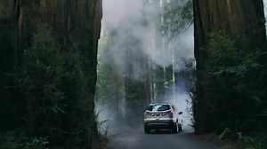 Ford Escape TV Spot, 'Bring It Home'