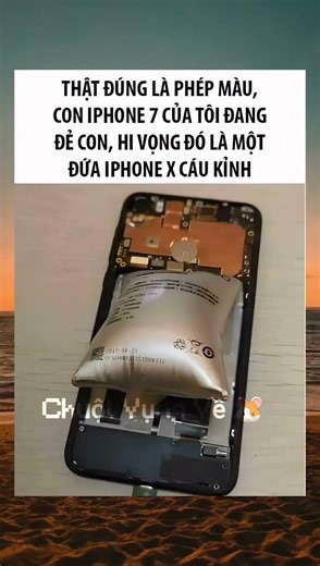 Mong Chờ Quá Đi 😊 #chuotvungve🐹 #shorts #ytshorts #viral #youtubeshorts #trend #funny #memes #foryou