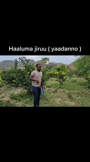 Exploring the Beauty of Rural Gardens with Friends