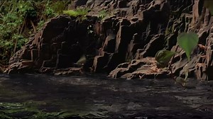 Dinosaur.2000.1080p.DSNP.WEB-DL.DDP5.1.x264-POWER