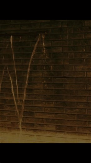 sbashbash (@sbashbash)’s videos with original sound - sbashbash