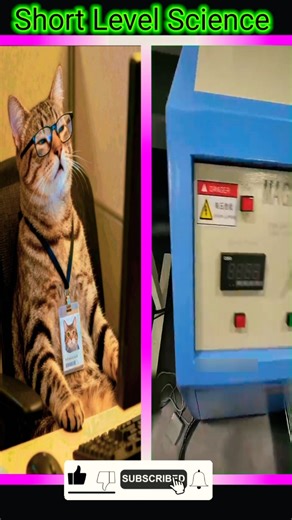 This Science Trick Will Blow Your Mind 🤯 | #Shorts