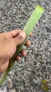 14K views · 210 reactions | Do you have bad breath and yellow teeth Then this recipe is for you! | Tips and Tricks | Facebook