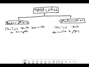 2023 Introduction to Statistics