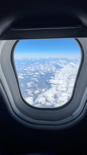 📣 大家敲碗的 Cabeau X 專屬收納袋開賣了