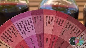 Wine Aroma Coasters, Set of 10, Wine Tasting Coaster, Eco Friendly/Recyclable, 90+ Aromas and Flavors, Wine Gift, Red, White, Rosé and Sparkling Wines, 4.5 Inches (Color) by The Wine Behavior