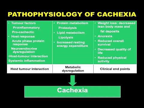 Pathophysiology Of Cachexia