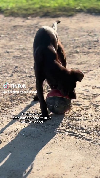 Understanding IEPs in Education