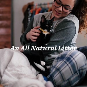 437 reactions · 12 comments | A litter upgrade for you and your feline friend!‍⬛ The Dr. Pol Pine Litter is a great solution for your kitten or cat, it offers superior odor control and maximum absorbency. Plus, it's completely dust-free and easy to clean. Give it a try! Now available at Walmart.com | Dr. Pol Pets | Facebook