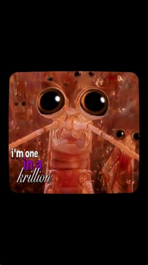 The Vortex Club on Instagram: "Happy Feet 2 (2011) is a colorful and energetic sequel that broadens the world of Emperor Penguins while telling a more close story about identity and courage. This time, the focus is shifted to Erik, Mumble's son, who struggles under the weight of expectations in a society built on talent and traditions. The film emphasizes on teamwork and acceptance. It also teaches us a deep lesson. Elsewhere in the story, two krill, named Will and Bill, flow endlessly within th