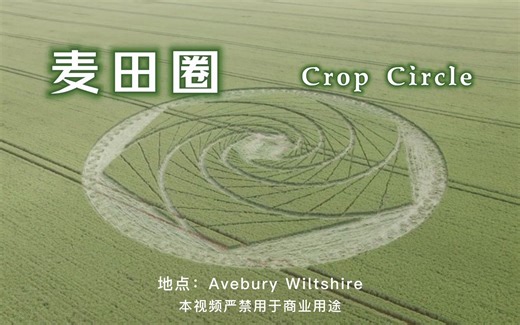 麦田圈 Crop Circle｜Avebury Wiltshire