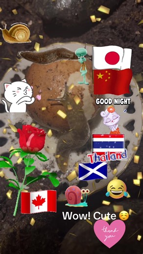 #cool #winning #awesome | cute