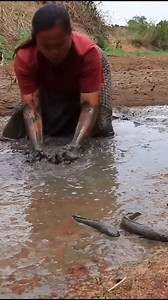 Catch eel in mud for dog #fishing #doglover #survivalskills | Uncle Bee Recipe