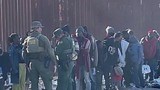 ‘Too f—— low’: Trump angry over ICE arrest numbers, source says
