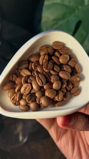 A Day in My Life as a Software Engineer Coding, Office Routine & Productivity Vlog #shorts #devlife