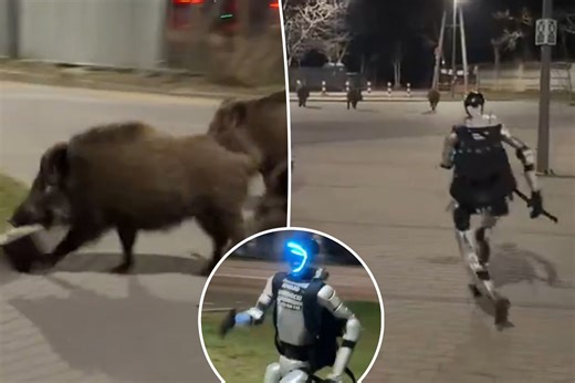 Humanoid robot chases pack of wild boars in bizarre video: 'The hero we don't deserve'