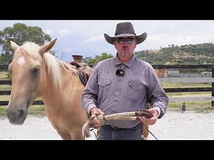 How to tie and set up the Hackamore/Bosal
