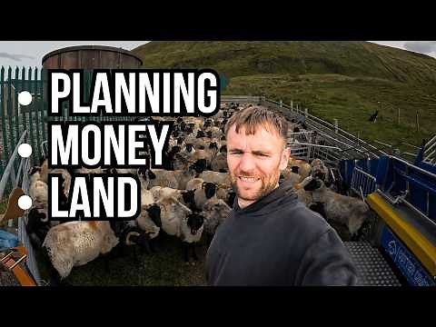 SHEEP FARMING FOR BEGINNERS (2025)