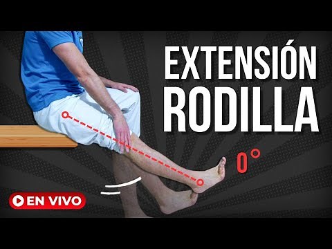 4 EXERCISES to improve KNEE EXTENSION #physiotherapywithinreach