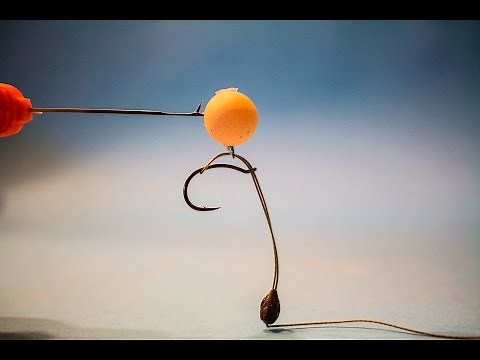 Multi Rig How to Tie for Big Carp Fishing