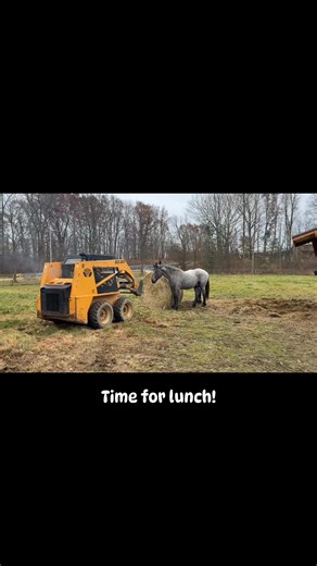 Linda A Yoder on Reels