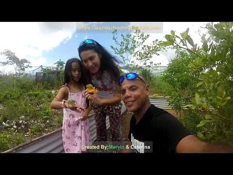 Dalia Learns About Chameleons Kids Conservation Education Tanzania, Africa