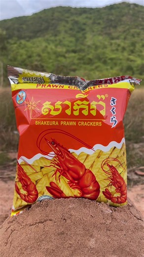 Essential Bushcraft Skills for Outdoor Survival