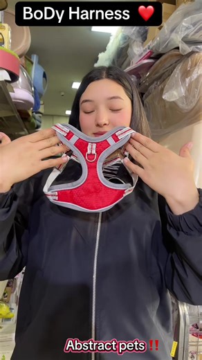 Explore the Benefits of BoDy Harness for Pets