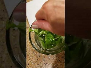 How to clean fresh basil