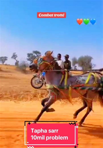 Tapha Sarr & 10mil Problem: Combat Trotté