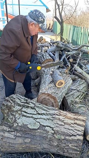 How to Cut Down a Walnut Tree with a Chainsaw Real Country Life #woodcutting #woodworking #firewood