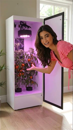 Uniquehydroponics Indoor Stealth Grow Boxes #growagarden #growyourown