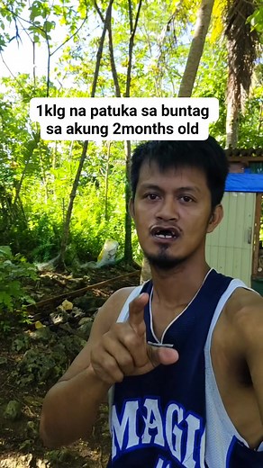 110K views · 3.9K reactions | Backyard level sa ta Ron mga kol... DISCLAIMER NO ANIMALS WERE HARM IN THE MAKING OF THIS VIDEO THIS IS FOR BREEDING PURPOSES ONLY NOT FOR ILLEGAL USE. #highlightseveryonefollowers2024 #backyardbreedermoves #fbreelsfypシ゚viral #fbreels #facebookreels #fyp #FacebookPage #backyardbreeders #facebookpost #backyardbreeder | Angkol mateo | Facebook